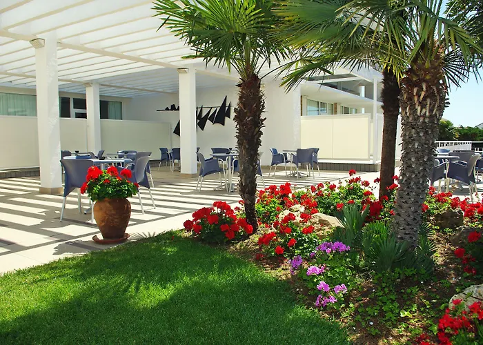 Hotel Alga